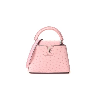 LOUIS VUITTON CAPUCINES MINI N85516 (21*14*8cm) LOUIS VUITTON CAPUCINES MINI N85516 (21*14*8cm)